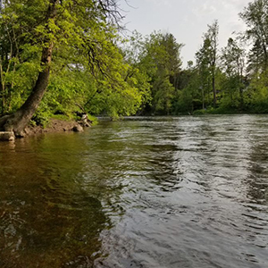 Rideau River